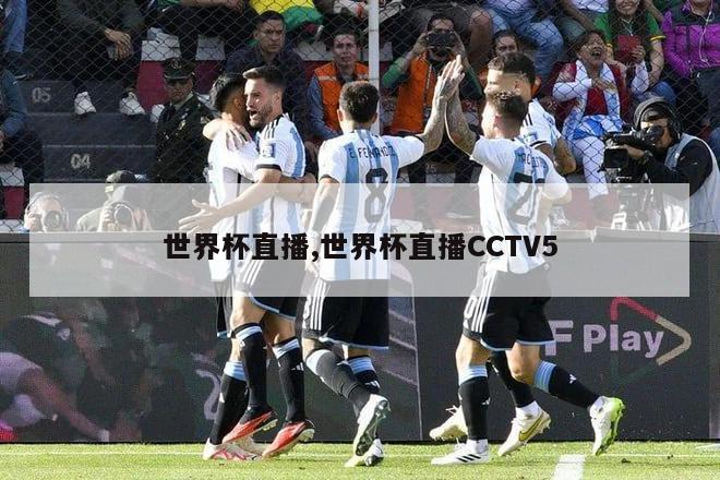 世界杯直播,世界杯直播CCTV5