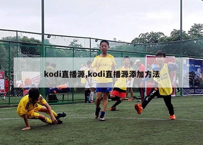 kodi直播源,kodi直播源添加方法